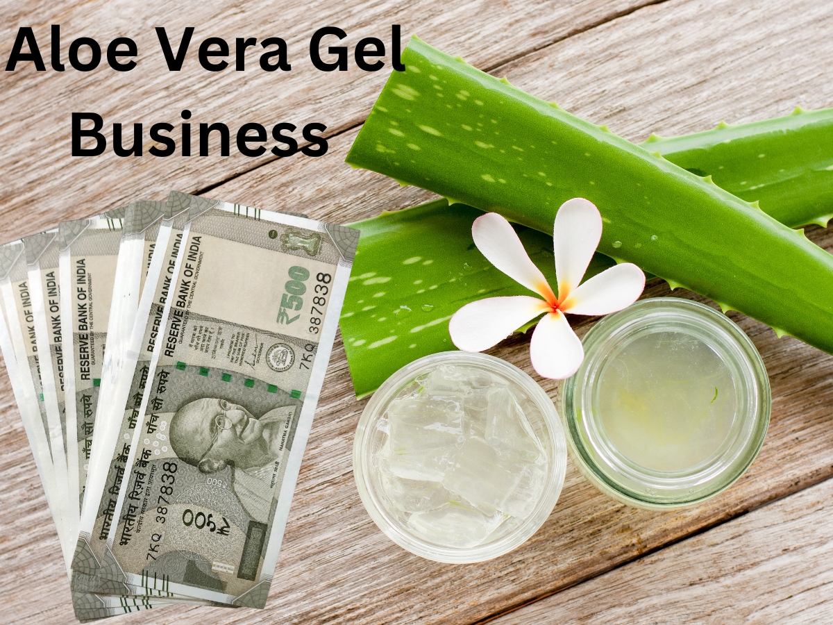 Business Idea: லட்சங்களில் வருமானம் தரும் ஆலோவேரா ஜெல் பிஸினஸ்... நீங்களும் தொடங்கலாம்! Business Idea: லட்சங்களில் வருமானம் தரும் ஆலோவேரா ஜெல் பிஸினஸ்... நீங்களும் தொடங்கலாம்!