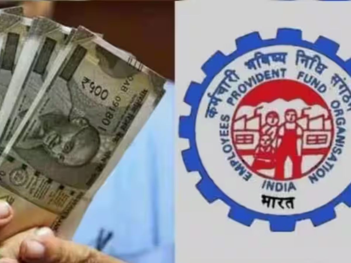 EPFO ஜாக்பாட் அப்டேட்: அடிச்சுது லாட்டரி.. விரைவில் கணக்கில் வட்டி தொகை, இப்படி செக் செய்யலாம் EPFO ஜாக்பாட் அப்டேட்: அடிச்சுது லாட்டரி.. விரைவில் கணக்கில் வட்டி தொகை, இப்படி செக் செய்யலாம்
