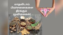 PCOS: மாதவிடாய் பிரச்சனைகளை தீர்க்கும் 5 ‘அற்புத’ மூலிகைகள்!