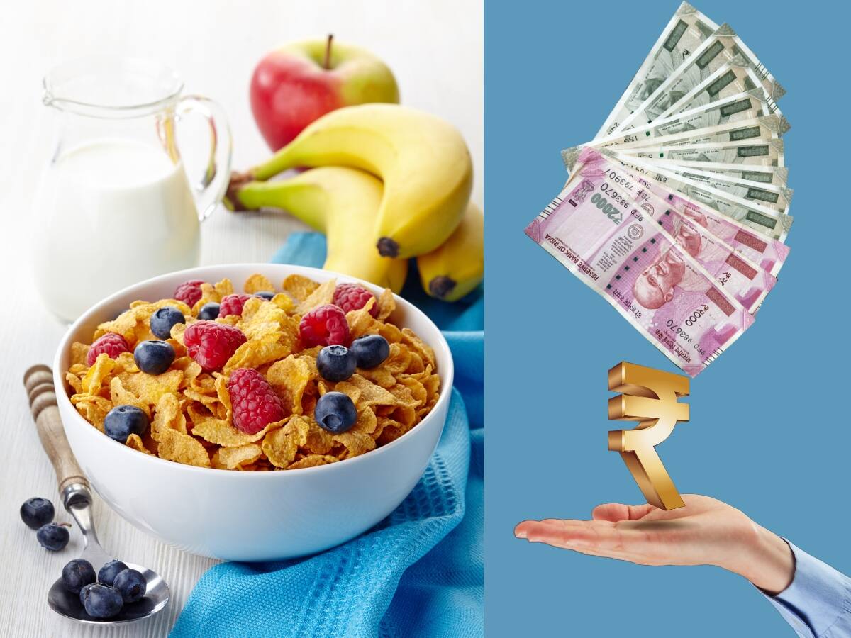 Business Idea: லட்சத்தில் வருமானத்தை அள்ளி தரும் ‘கார்ன் பிளேக்ஸ் ’ பிசினஸ் !