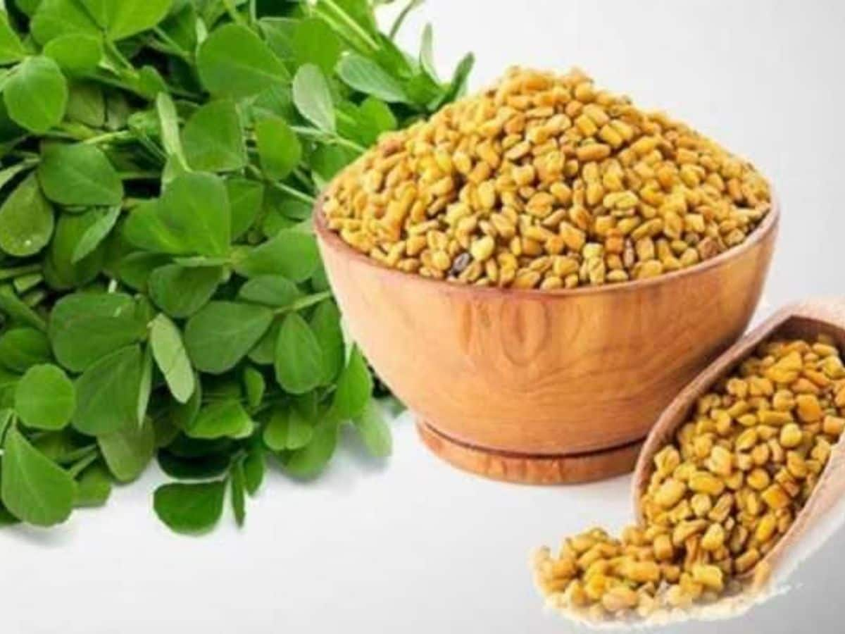 Amazing Health Benefits Of Fenugreek Seeds வெளுத்துக்கட்டும் வெந்தயம்