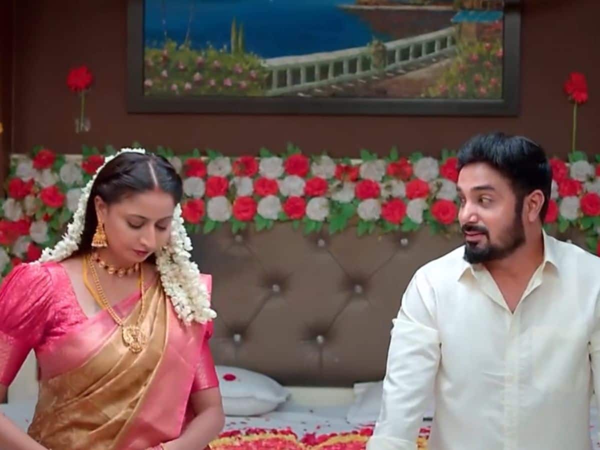 தீபாவிற்கு முதலிரவு நடந்ததா-இல்லையா..? கார்த்திகை தீபம் எபிசோட் அப்டேட்…!