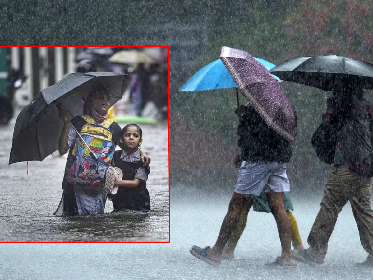 Weather: அடுத்த 2 நாட்களில் வடகிழக்கு பருவமழை தொடங்கலாம்.. மக்களே எச்சரிக்கை! Weather: அடுத்த 2 நாட்களில் வடகிழக்கு பருவமழை தொடங்கலாம்.. மக்களே எச்சரிக்கை!
