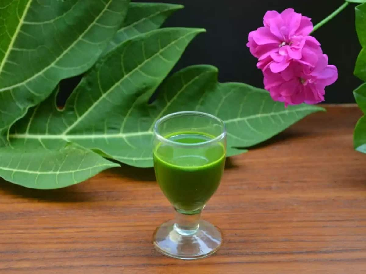 Benefits of papaya leaf juice In Tamil Lifestyle News in Tamil