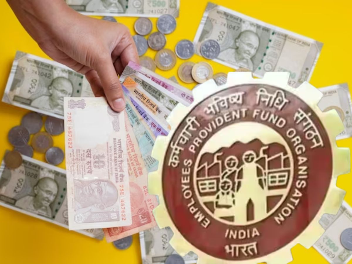 EPFO ஜாக்பாட் செய்தி: ஊழியர்களுக்கு அடிச்சுது லாட்டரி, கணக்கில் வட்டி தொகை வரும், இப்படி செக் செய்யலாம் EPFO ஜாக்பாட் செய்தி: ஊழியர்களுக்கு அடிச்சுது லாட்டரி, கணக்கில் வட்டி தொகை வரும், இப்படி செக் செய்யலாம்