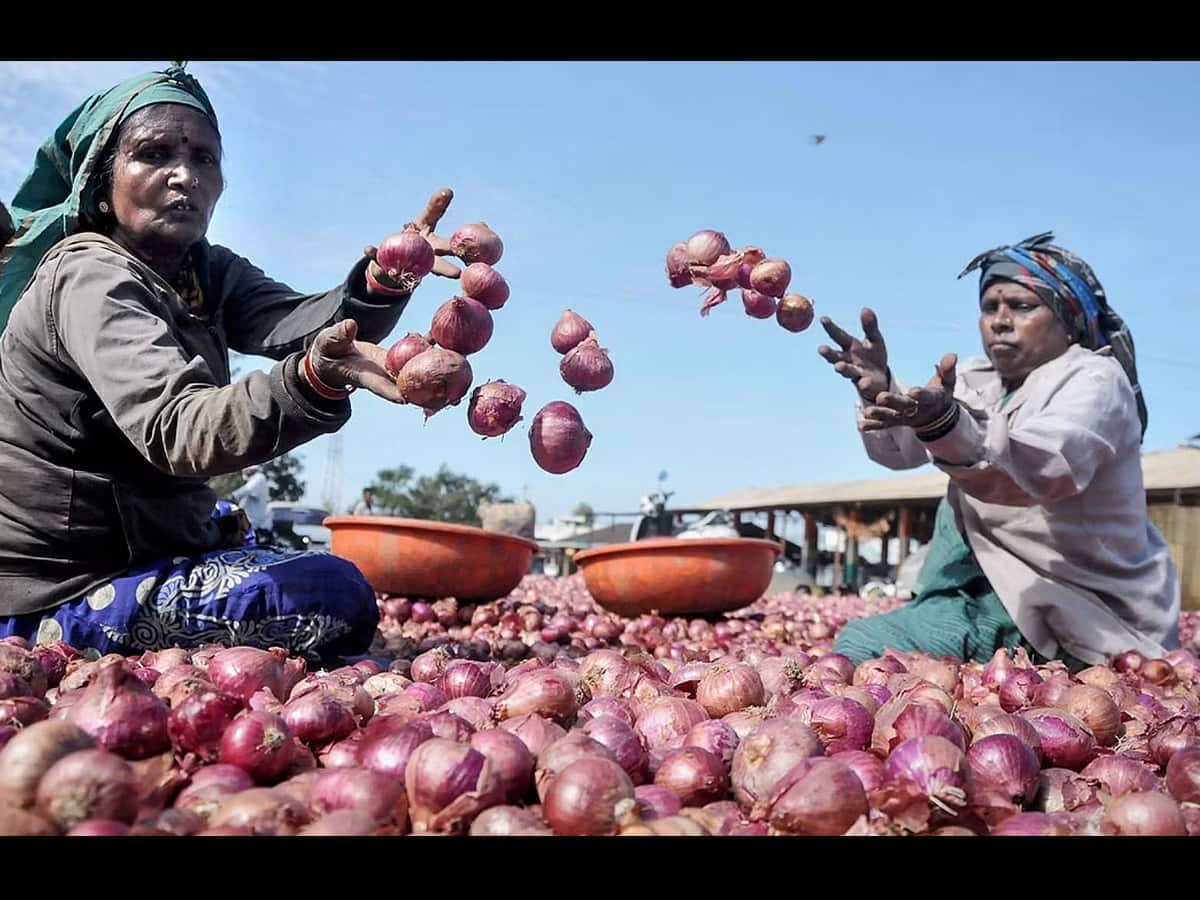 Onion Prices Hike: விண்ணைத் தொடும் வெங்காயம் விலை! 2 மாதம் ஆகும் விலை குறைய?