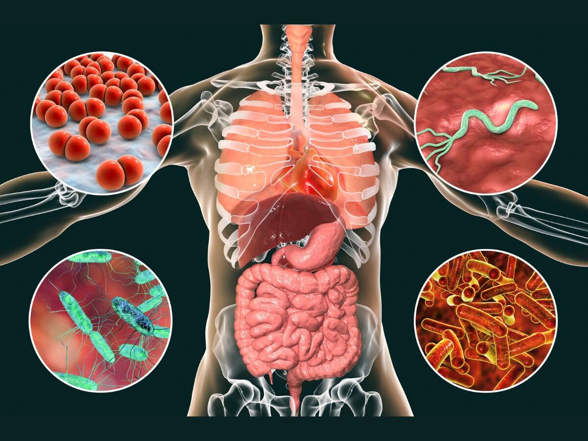 ஒரே நாளில் உங்கள் வயிற்றை சுத்தம் செய்ய... நீங்கள் செய்ய வேண்டியவை!