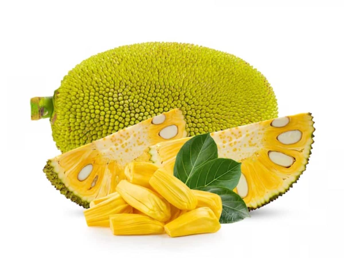 Top 5 Foods Which Badly Effect Health If Eat With Jackfruit பலாப்பழம்