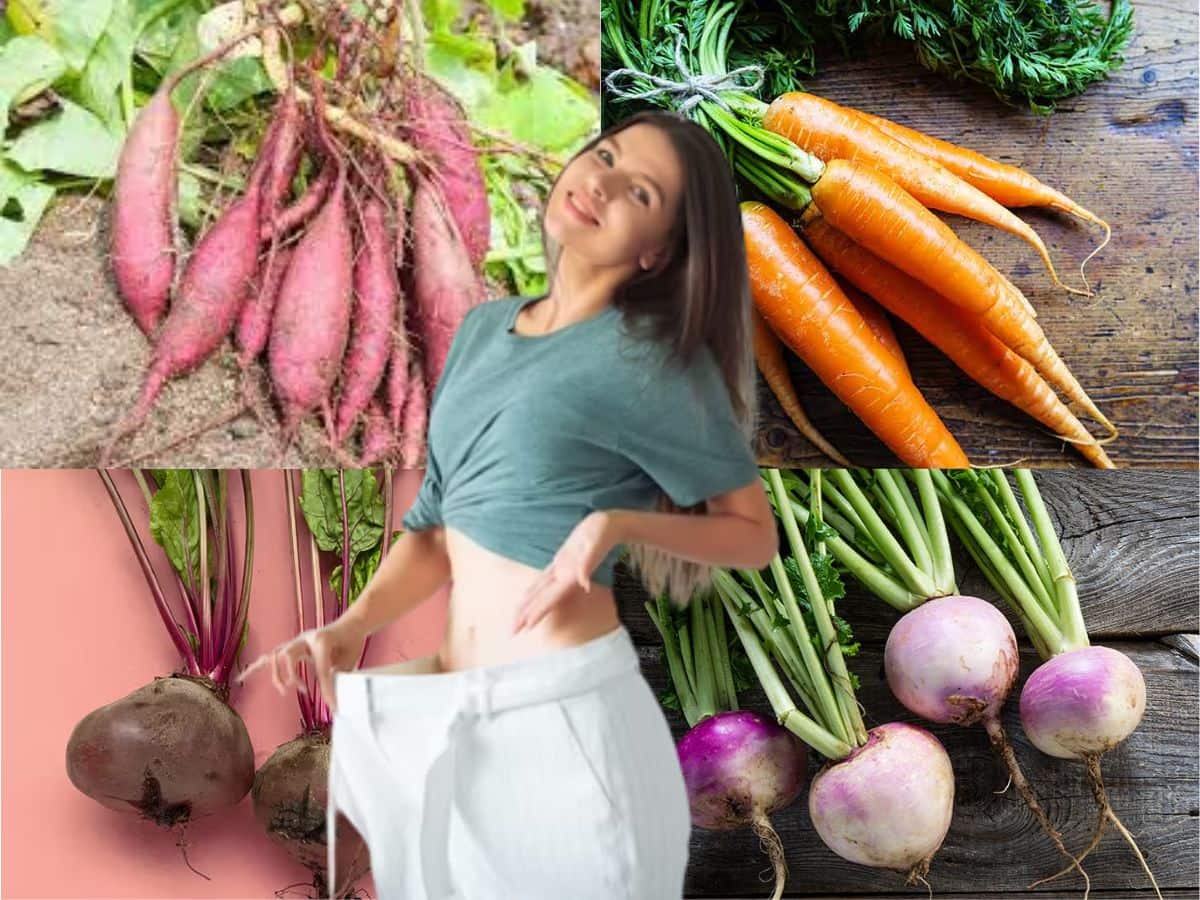 தொப்பையை வேகமா குறைக்க இந்த வேர் காய்களை சாப்பிடுங்க: உடனே பலன் தெரியும்