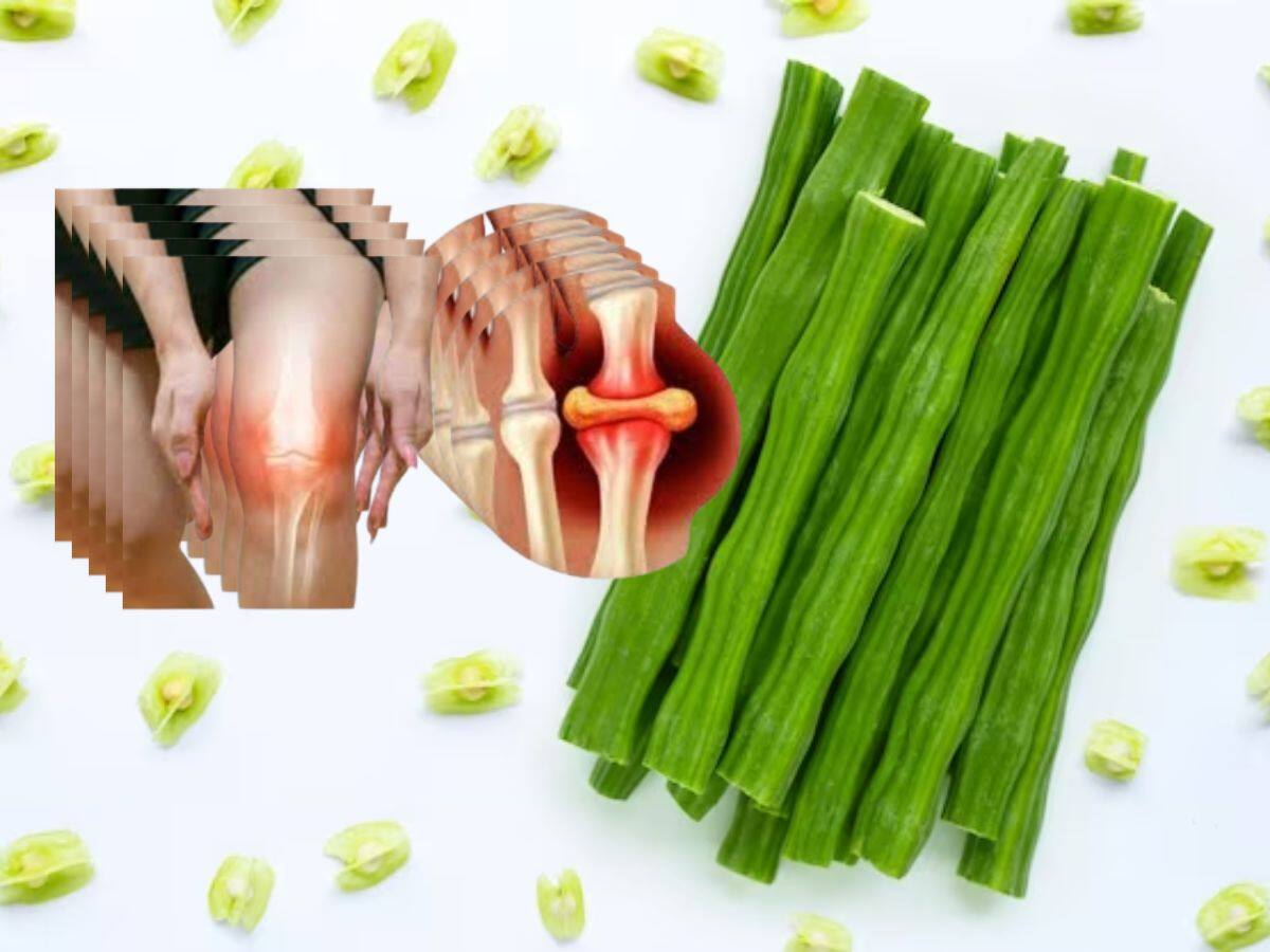 Get Rid From Uric Acid Problems By Using Drumstice Moringa Weekly Twice