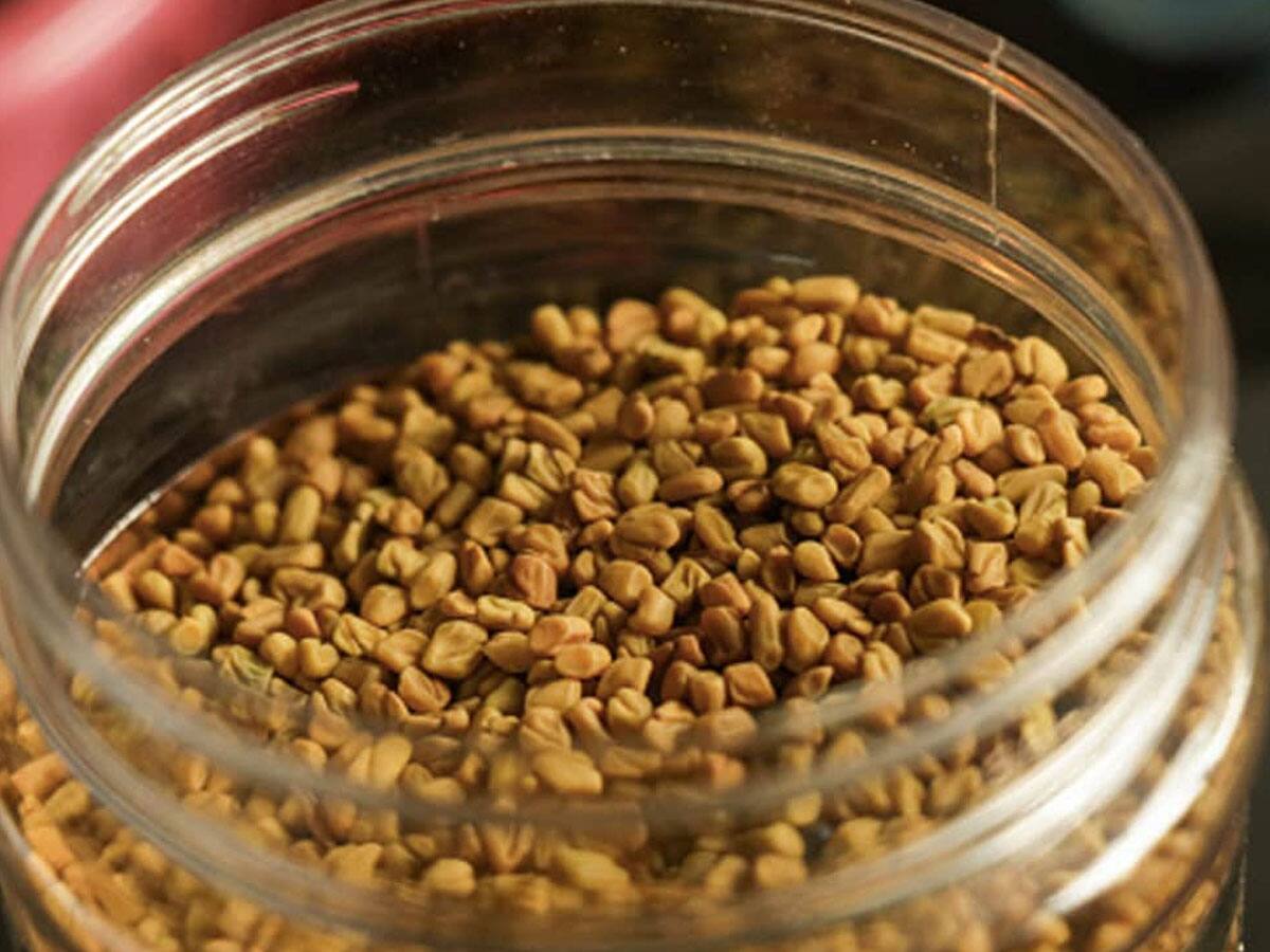 How Fenugreek Seeds Controls Uric Acid யூரிக் அமிலத்தை குறைக்கணுமா