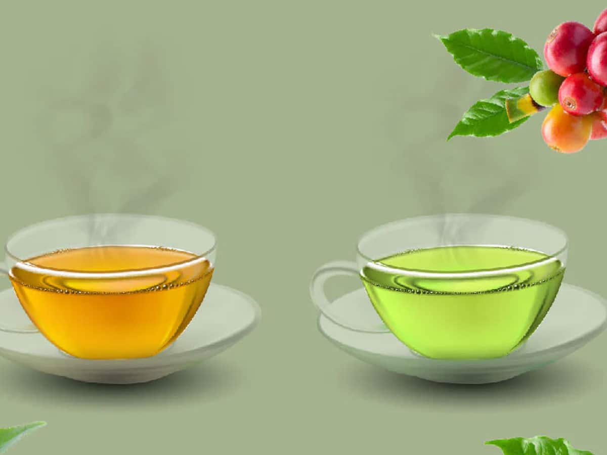 Green tea vs Green Coffee க்ரீன் டீ ஆ? க்ரீன் காபி ஆ? எது சிறந்ததுனு