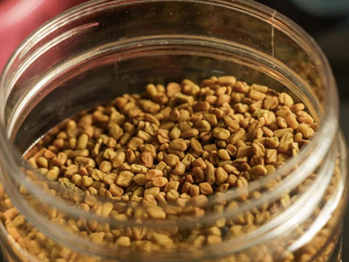 What Happens If I Eat Fenugreek Everyday வெந்தயம் சாப்பிடுவது