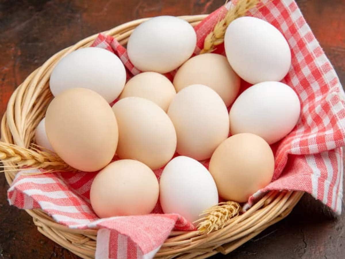 Apakah Makan Telur Setiap Hari Bermanfaat Bagi Kesehatan?  Benarkah makan telur setiap hari baik untuk kesehatan?