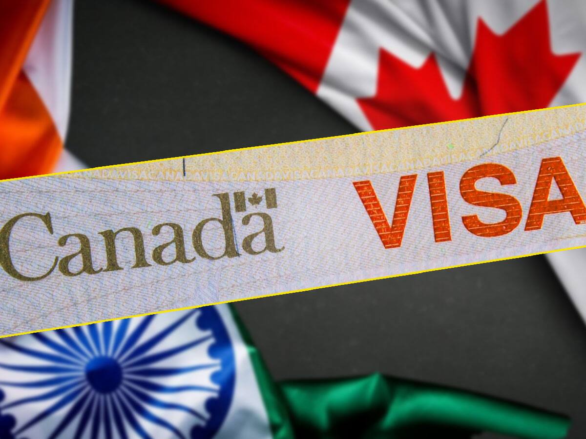 Indian Govt Resumes E-Visa To Canadian People | கனடா நாட்டவர்களுக்கு ...