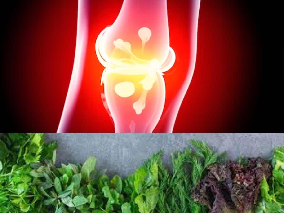 Bone Weakening Vegetables List Tops Green Leaf Which Hurdles Calcium ...