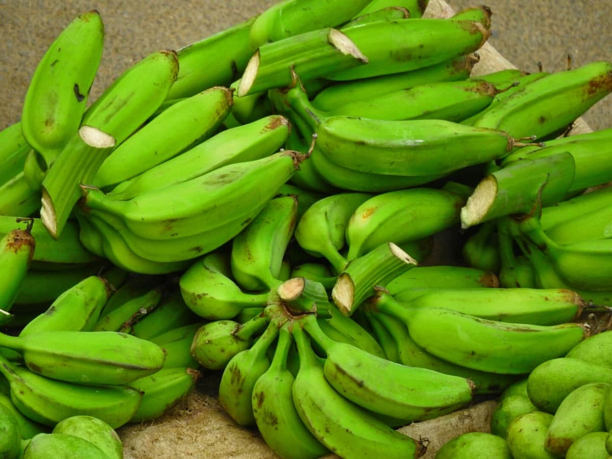 surprising-health-benefits-of-raw-banana