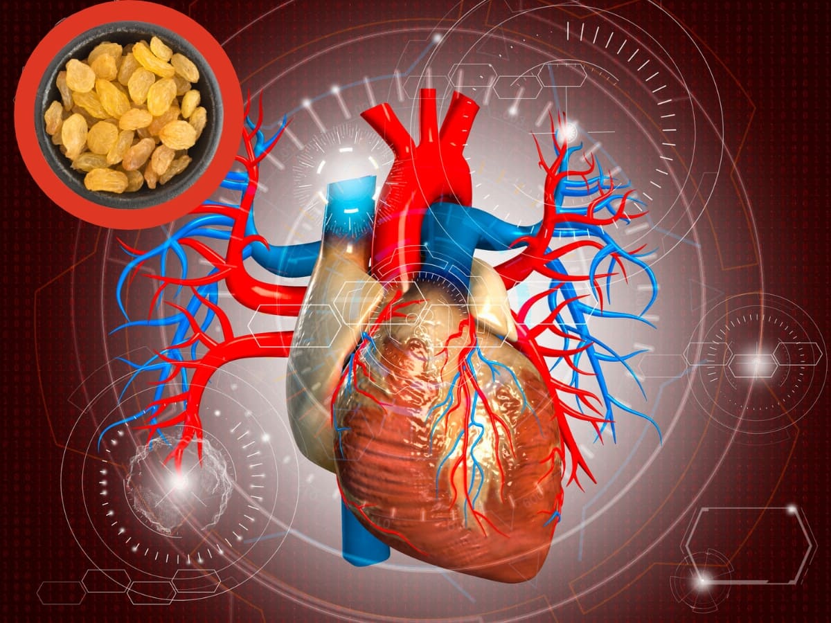 Raisins & Cholesterol Control கொலஸ்ட்ராலை எரிக்க... உலர் திராட்சையை