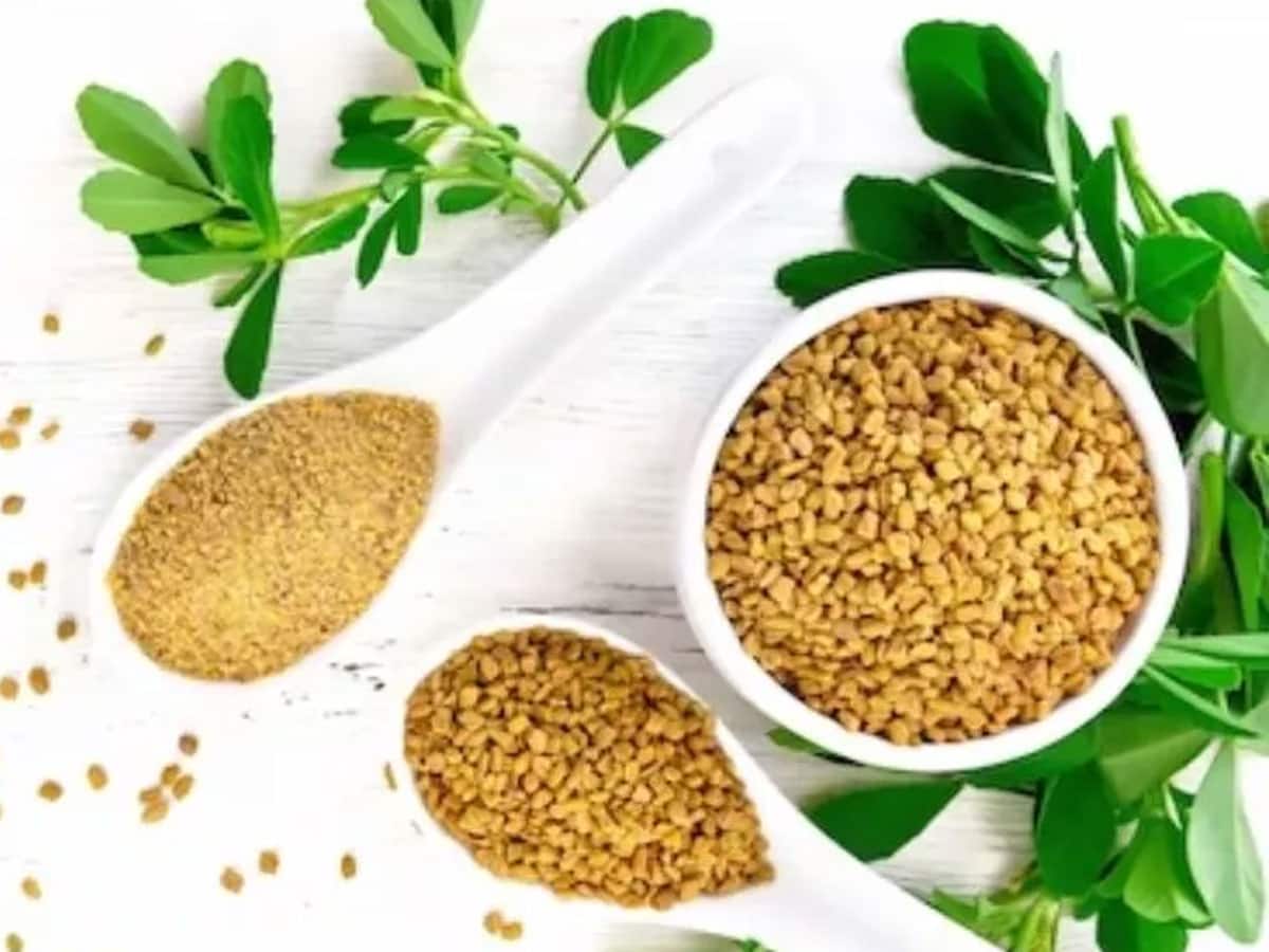 How To Use Fenugreek Seed For Hair In Tamil அசுர வேகத்தில்