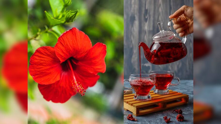 Top Most Benefits Of Ayurvedic Tea Made From Hibiscus & Blue Pea ...