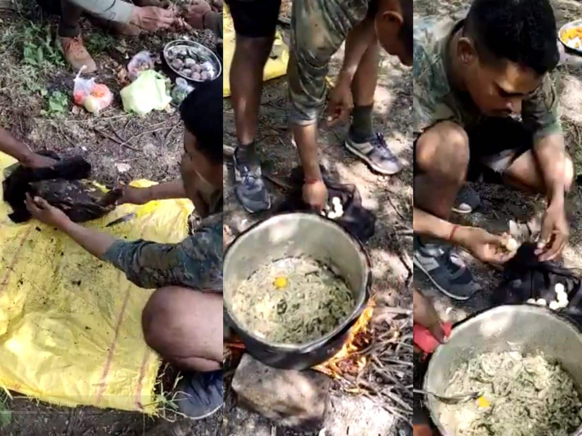 ஆமைக்கறி சமைத்து சாப்பிட்டவர்கள் யார்? வனத்துறை அதிகாரிகள் தீவிர விசாரணை