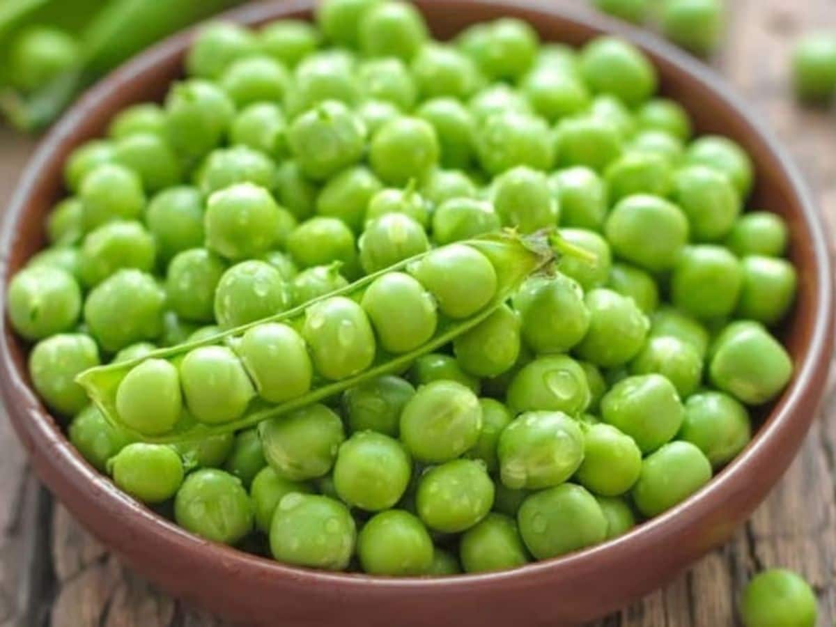 Unbelievable Health Benefits of Green Peas in winter எடை இழப்பு