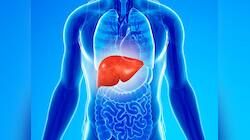 Liver Health: சேதமான கல்லீரலையும் சீர்செய்யும் ‘சூப்பர்’ உணவுகள்!