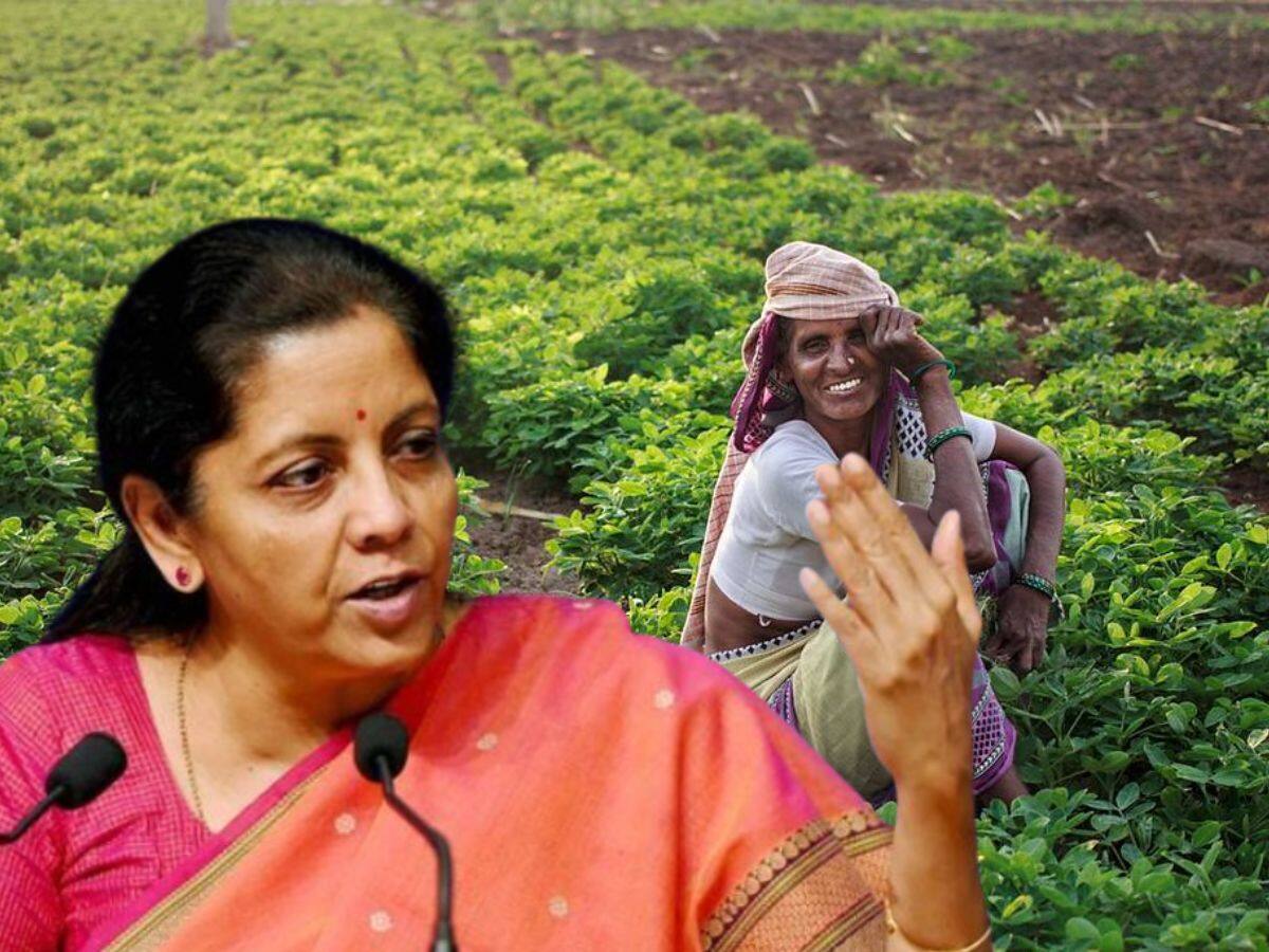 Budget 2024 Mega Annoucement For Women Farmers Budget 2024 பெண்