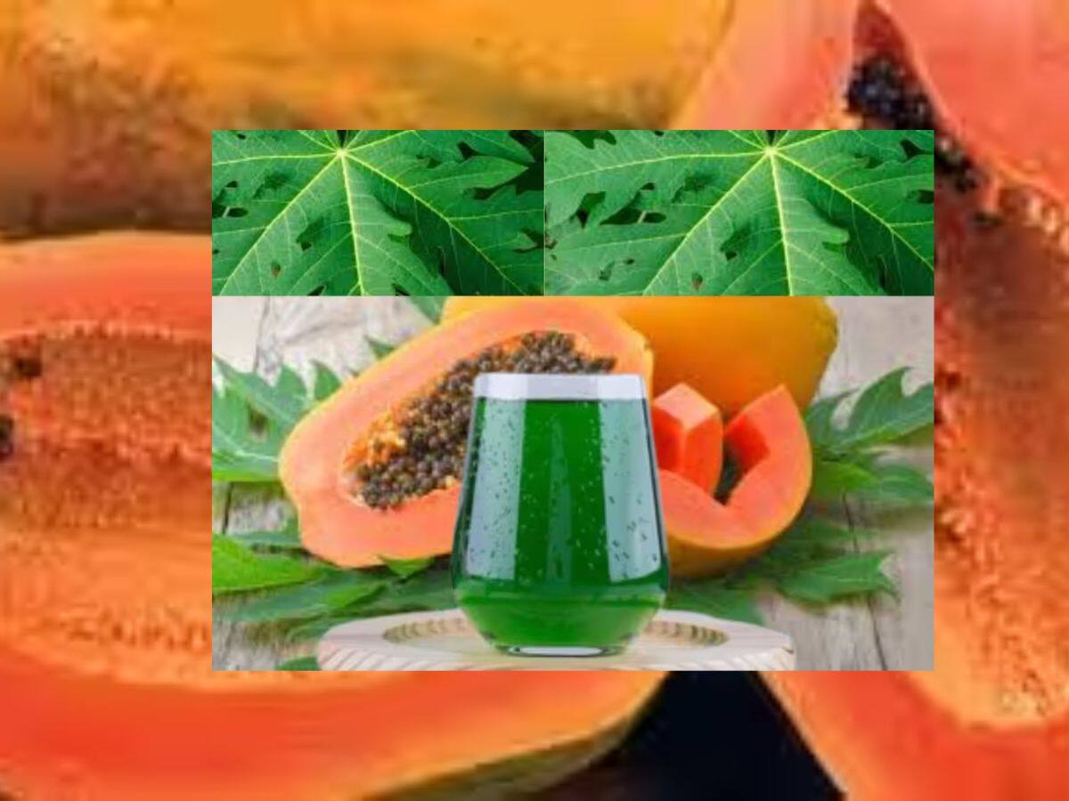 Benefits Of Eating Papaya Eating In Winter பப்பாளியை குளிர்காலத்தில்