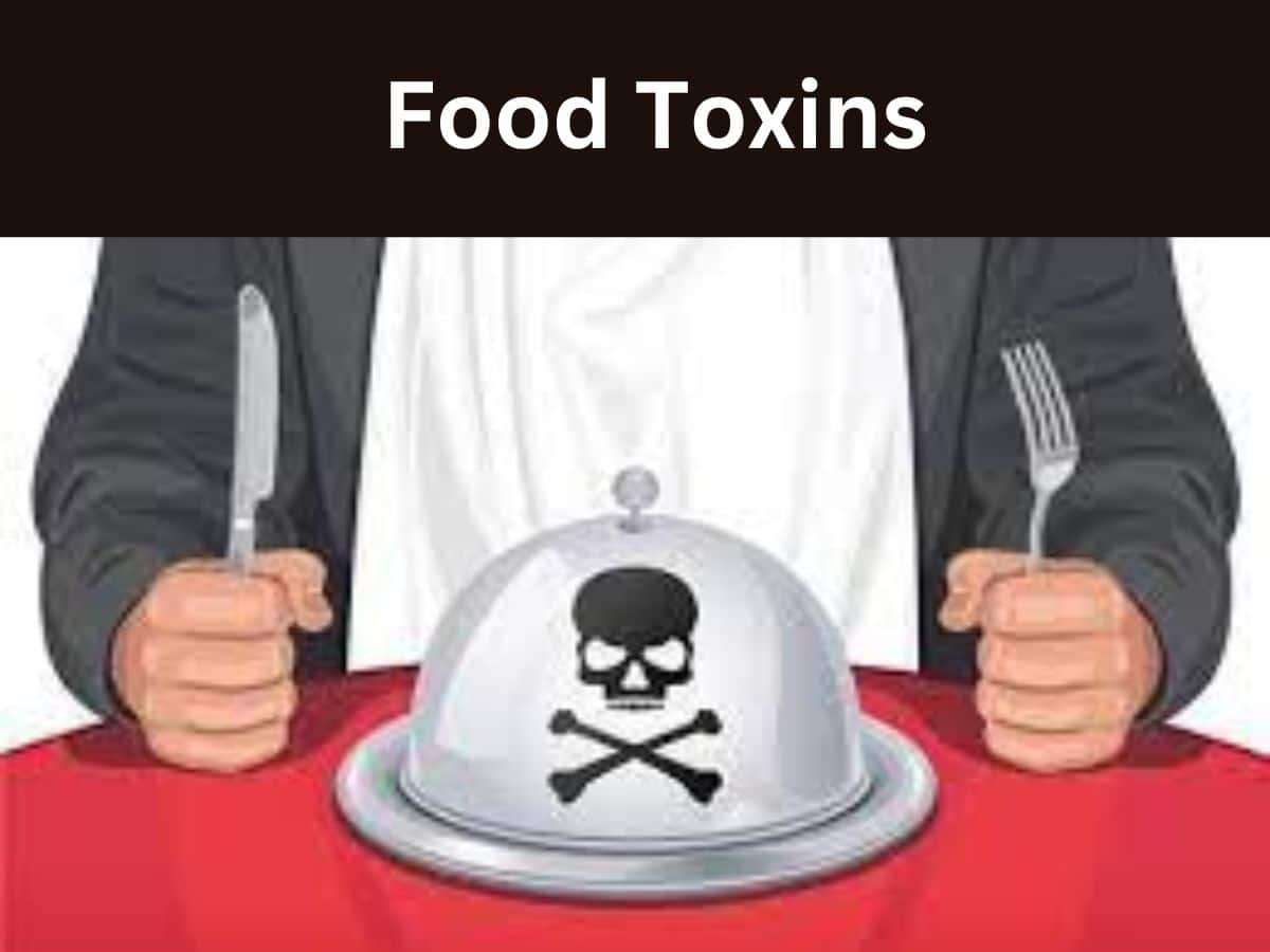 Beware Of Food Toxins Which Effects Lifespan And Quality Of Life | News ...