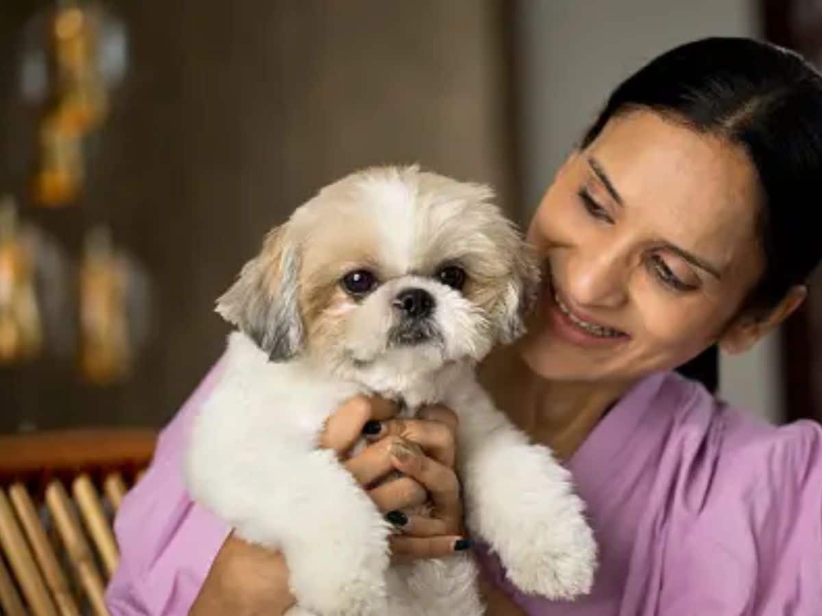 Does Having A Dog As A Pet Will Help You Recover From Distress Check