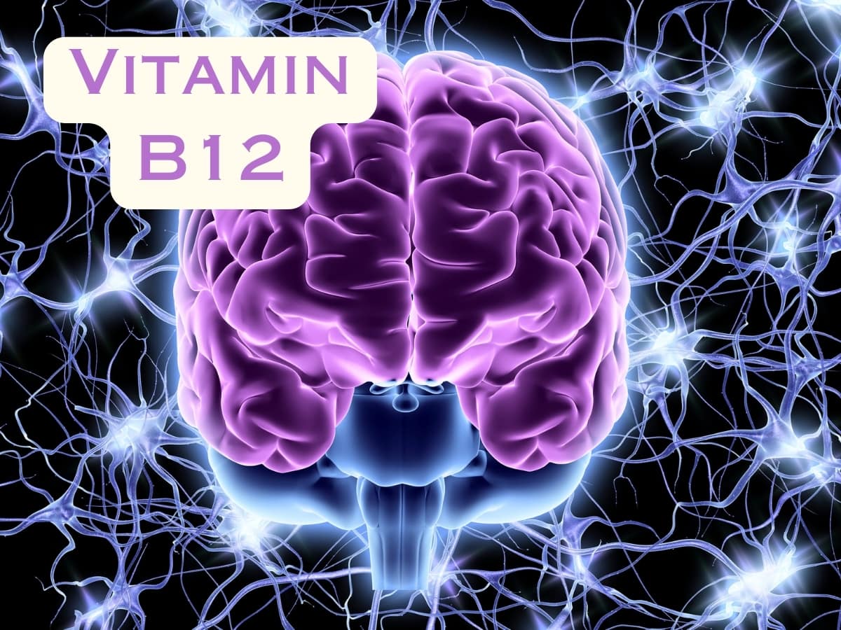 Vitamin B12 Deficiency Affects Nervous System நரம்பு மண்டலத்தை