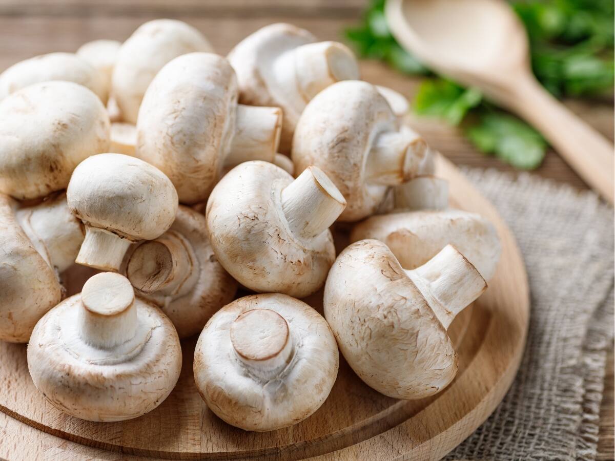 புற்றுநோய் முதல் அல்சைமர் வரை.... வியக்க வைக்கும் நன்மைகள் தரும் காளான்!