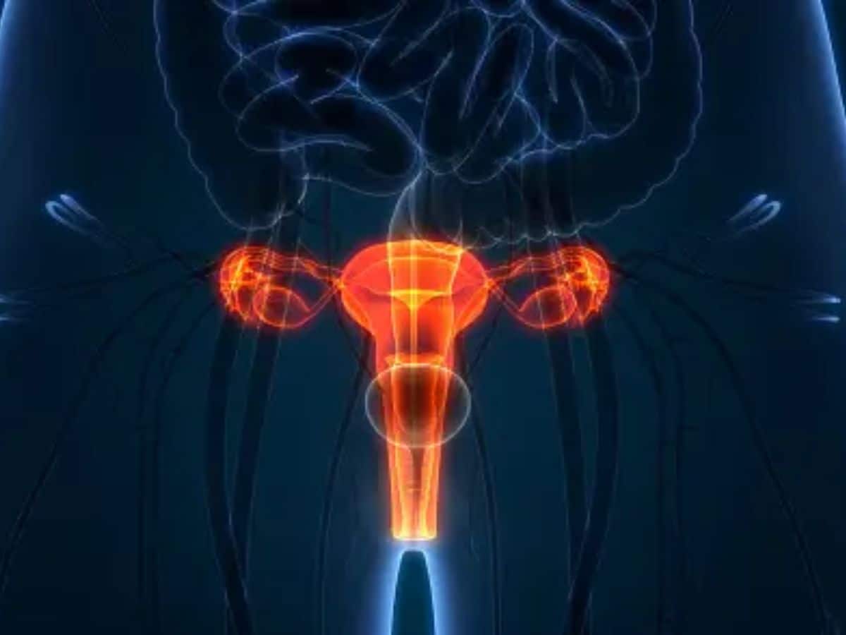 Cervical Cancer: கருப்பை வாய் புற்றுநோய் என்றால் என்ன? இதன் அறிகுறிகள் இவைதான்!