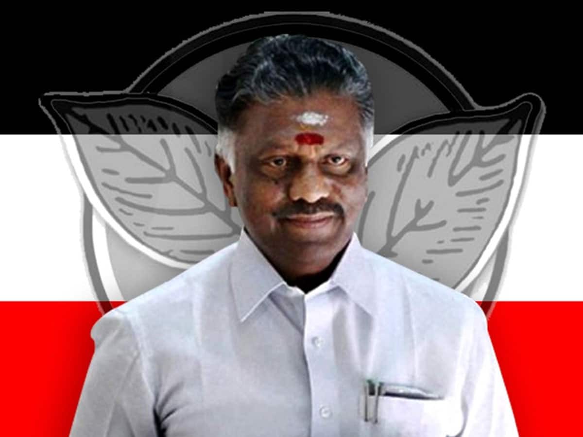 தனிச் சின்னம் என்கிற கேள்விக்கு இடமில்லை: மதுரையில் ஓபிஎஸ்