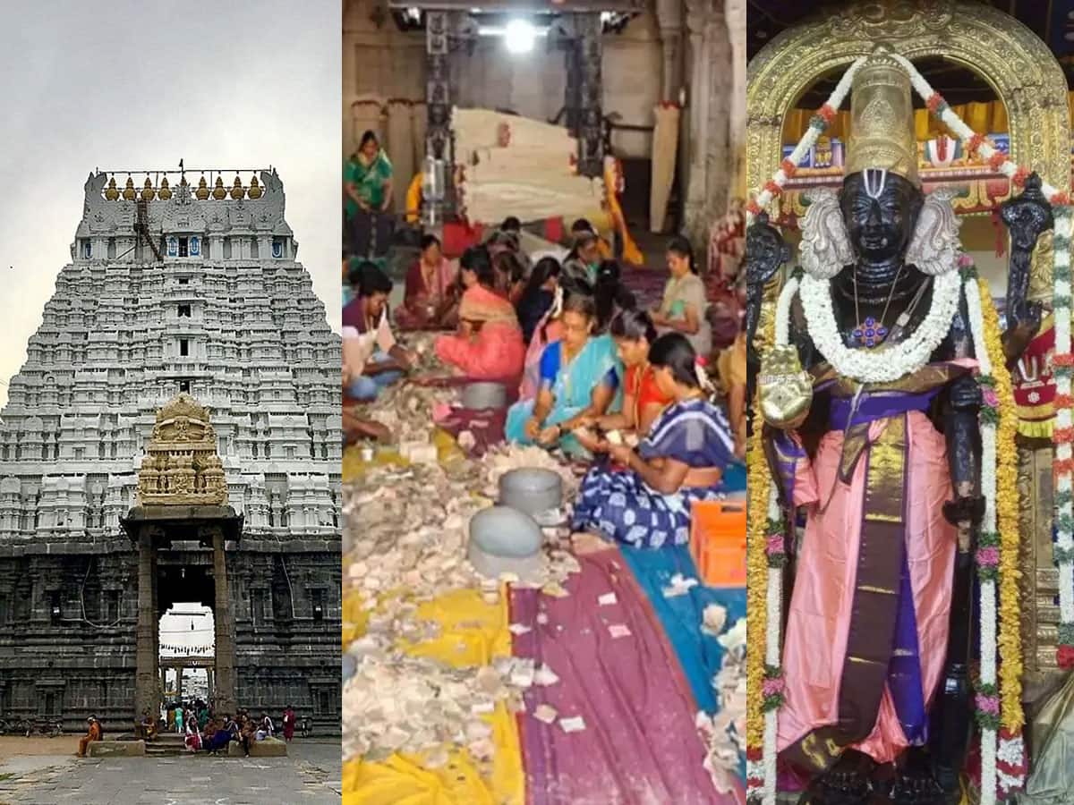 காஞ்சி அத்திவரதர் கோவில்; விறுவிறுப்பாக நடைபெற்ற உண்டியல் காணிக்கை எண்ணும் பணி