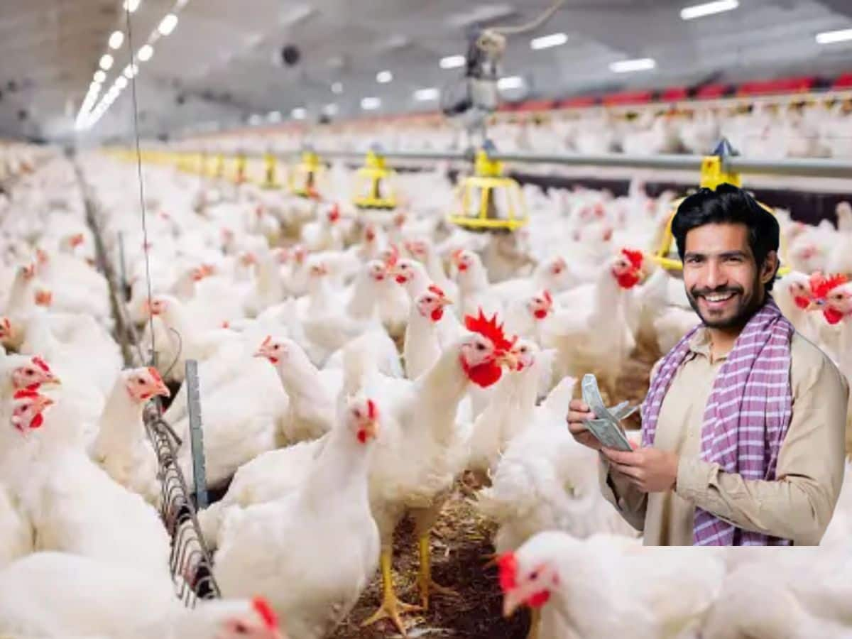 poultry farm business plan tamil