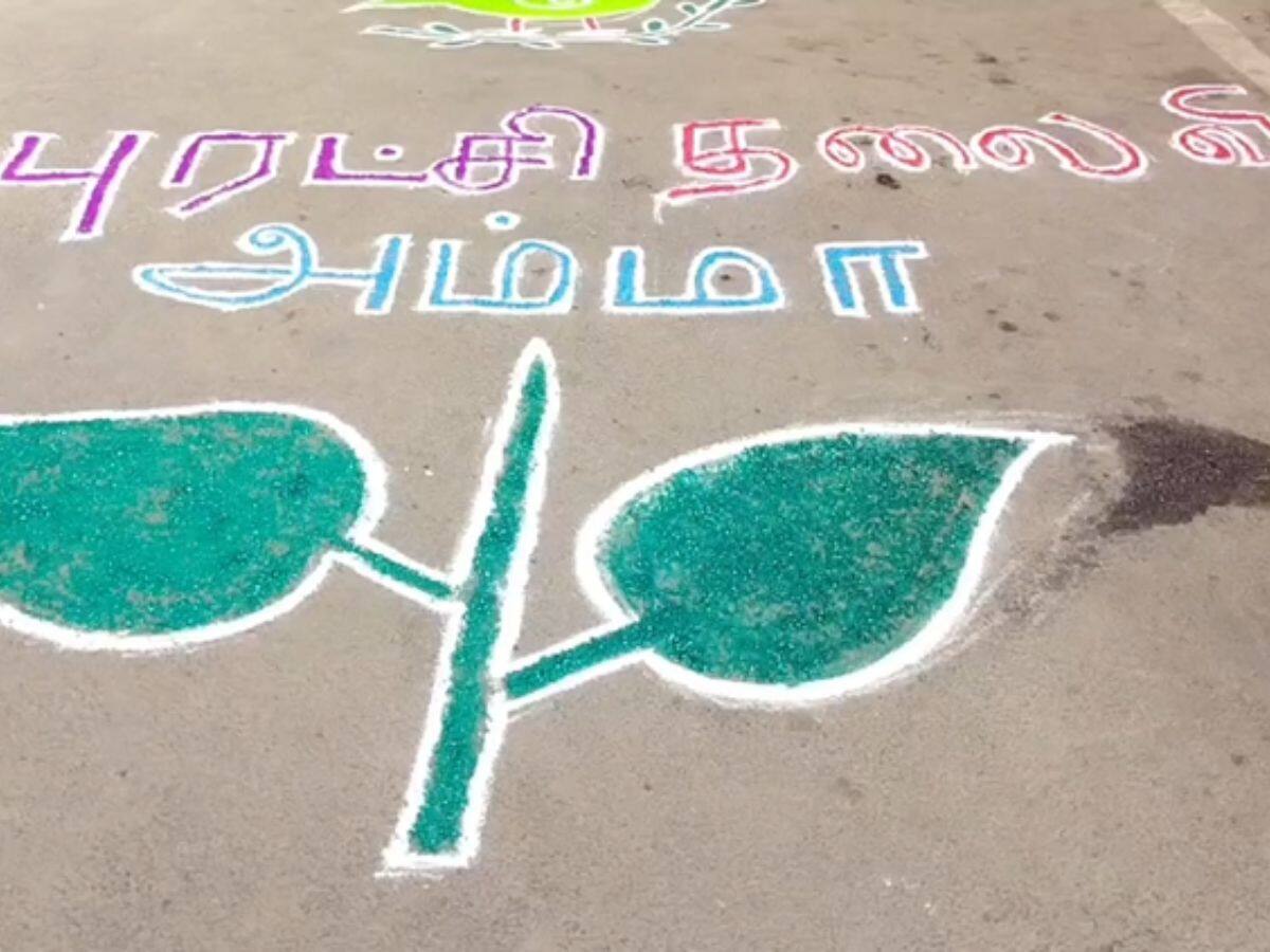 அம்மா பிறந்தநாள் கொண்டாட்டம்: தெருக்களை அலங்கரித்த கோலங்கள்