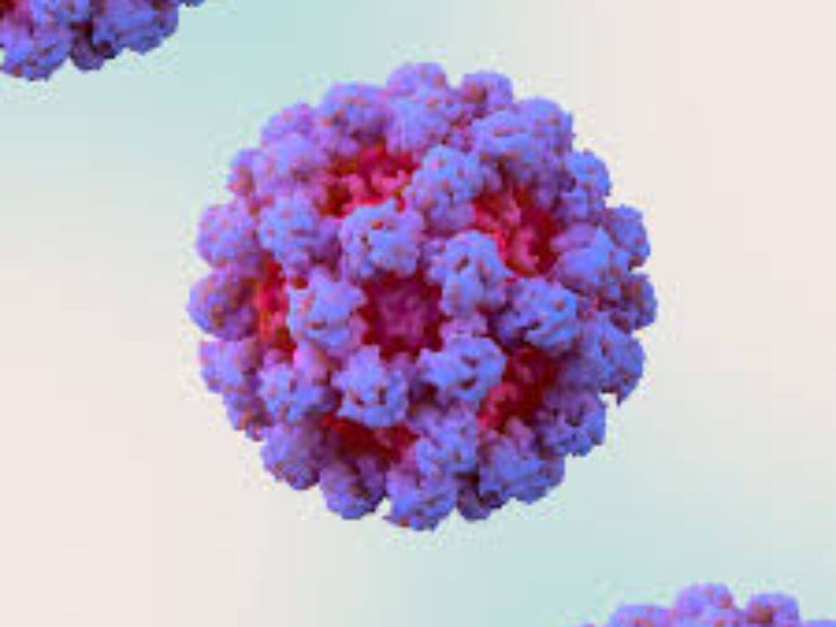 Norovirus: அமெரிக்காவில் பீதியை கிளப்பும் நோரோவைரஸ்! உயரும் பலி எண்ணிக்கை...