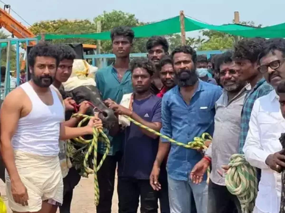 'வாடிவாசல்' படத்திலிருந்து விலகிய சூர்யா? உள்ளே வரும் ஹிட் நடிகர்