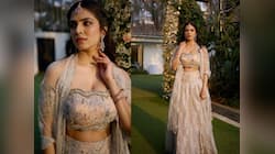 Malavika Mohanan: மாளவிகா மோகனனுக்கு விரைவில் திருமணமா? உண்மை என்ன?