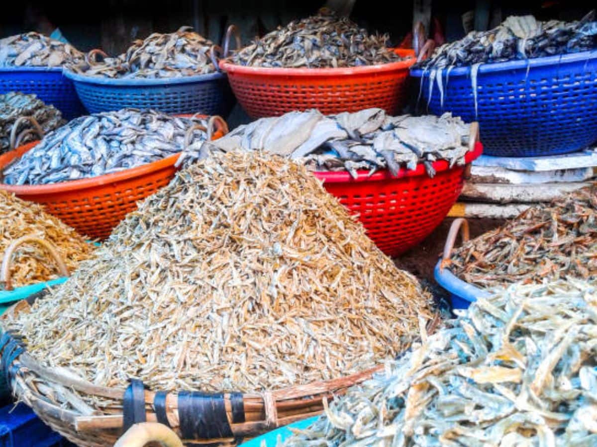 Can we eat dry fish in summer? Who should not eat benefits of Dry Fish