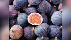 Fig Fruit : இரத்தசோகை முதல் ஆண்மைக் குறைவு வரை மோசமான நோய்களையும் சீராக்கும் அத்தி!