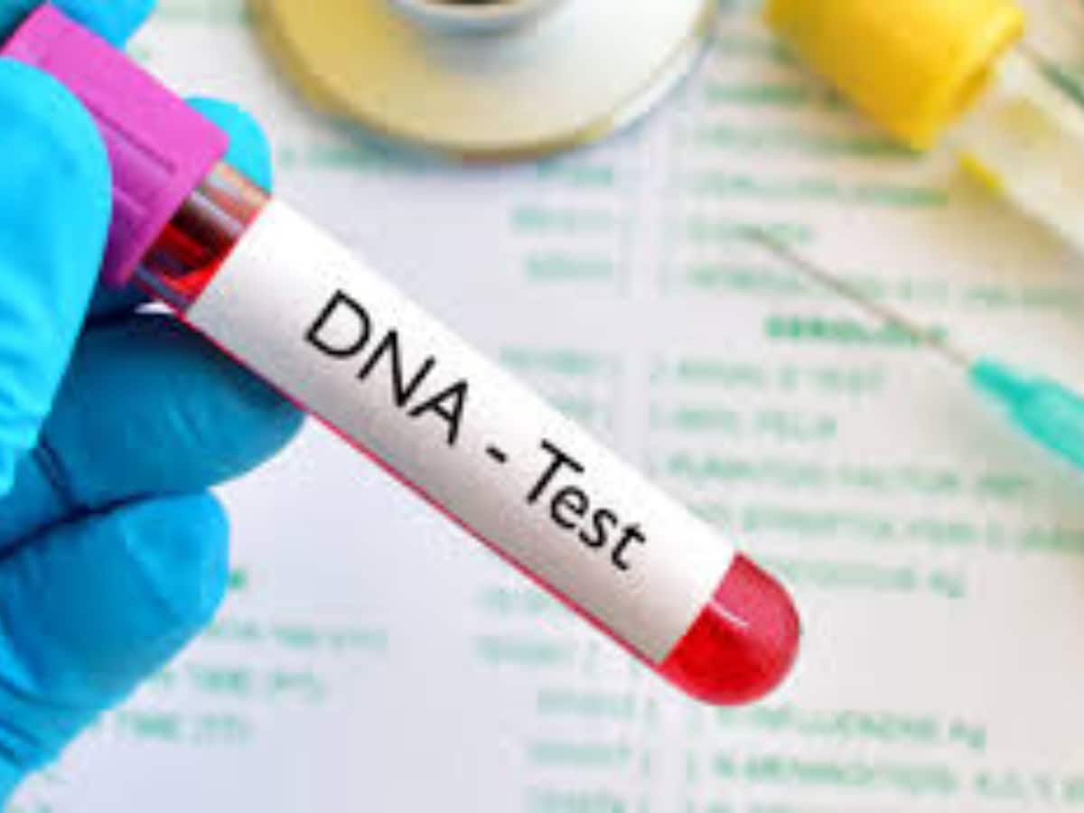Shocking Increase In Incest Relationship In America Women Traumatized By DNA Test Result World Bizarre News | அதிகரிக்கும் Incest உறவு... அமெரிக்காவில் அதிகரிக்கும் ஆபத்துகள் - இதில் என்ன பிரச்னை? | World News in Tamil