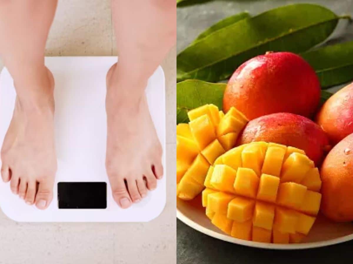 Will Mangoes Helps To Lose Weight Or Gain Weight Read Health Benefits
