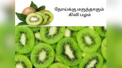 Health Booster: ஆரோக்கியத்தை அழகாக்கி மெருகேற்றும் கிவி பழம்! நோயை விரட்டும் பழம்! 