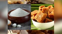 வெள்ளைச் சர்க்கரை, நாட்டுச் சர்க்கரை, கருப்பட்டி! சிறந்த இனிப்பு போட்டியில் பரிசு எதற்கு?
