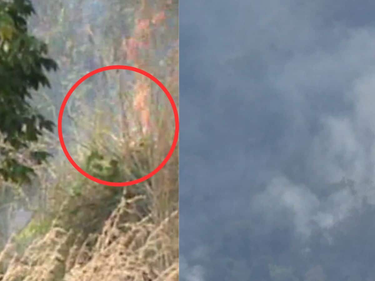 மேற்கு தொடர்ச்சி மலையில் 3வது நாளாக பற்றி எரிந்து வரும் காட்டுத்தீ!