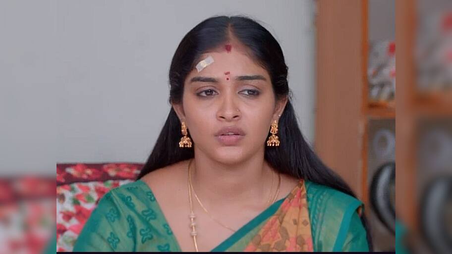 கார்த்தி போட்ட மாஸ்டர் பிளான்! கார்த்திகை தீபம் சீரியல் அப்டேட்!