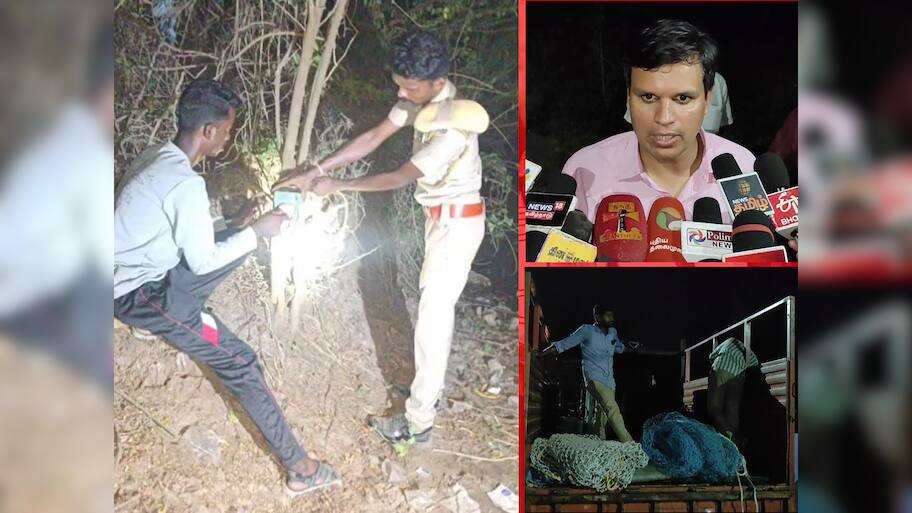 மயிலாடுதுறை சிறுத்தை எங்கே? தொடரும் தேடுதல் வேட்டை, இறந்து கிடந்த ஆடு.. 9 பள்ளிகளுக்கு விடுமுறை!